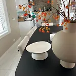 Vista 瓦瑟纳尔