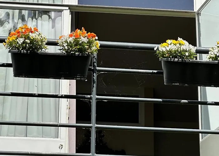 Villa Vista Wassenaar