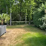 Vista *
